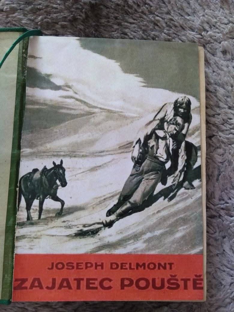 Joseph Delmont-Zajatec pouště