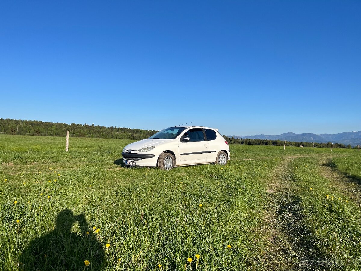 Peugeot 206 1.1 44kw