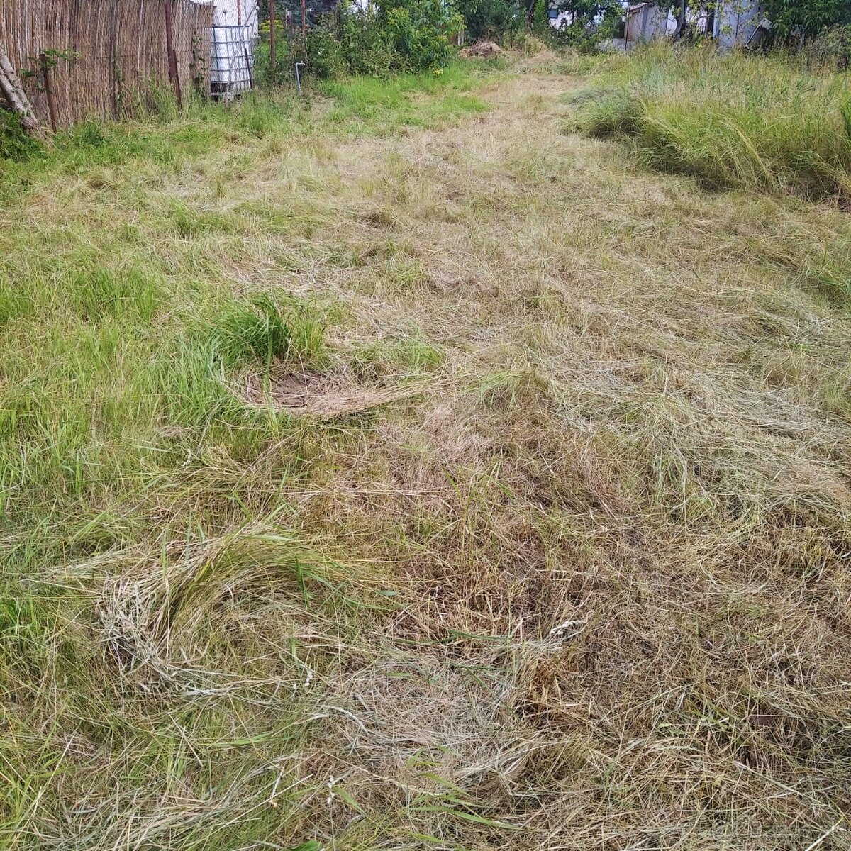 Prenajom zahrady, obec Jarok, okr.Nitra