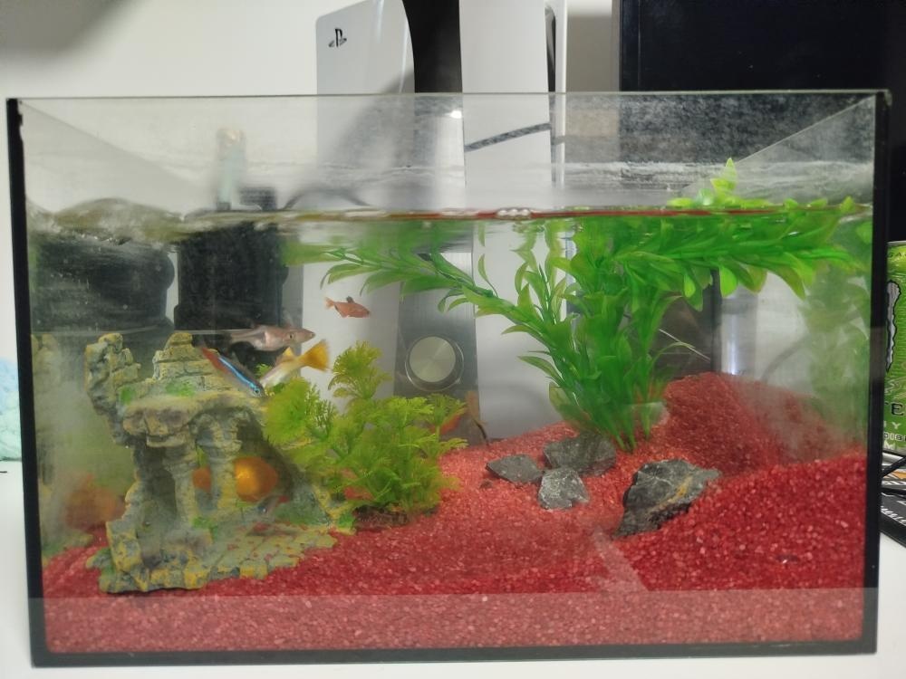 Akvarium