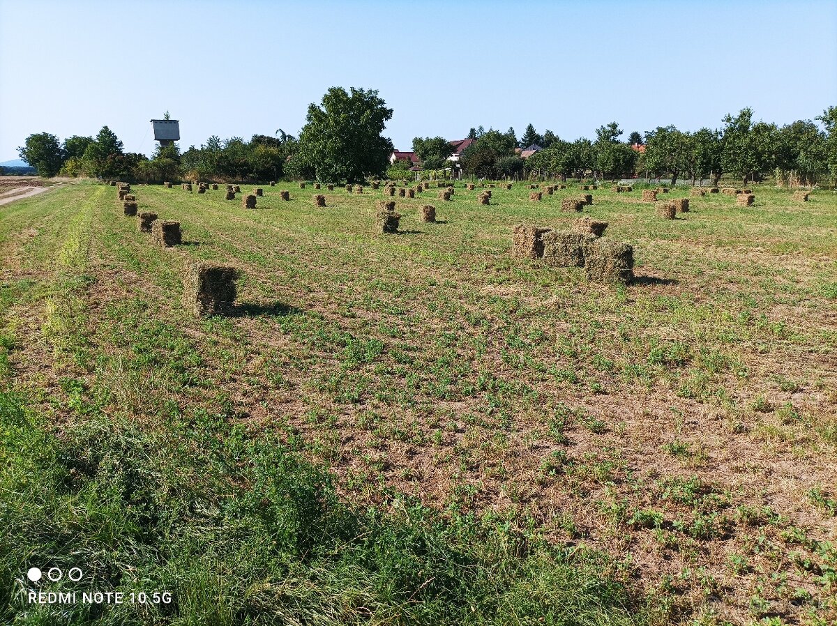 Datelina ( Lucerka)