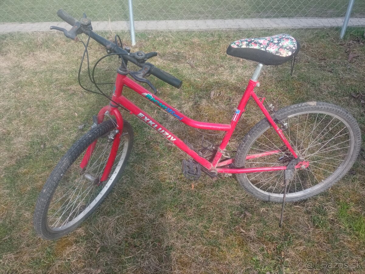 Dámský bicykel červený