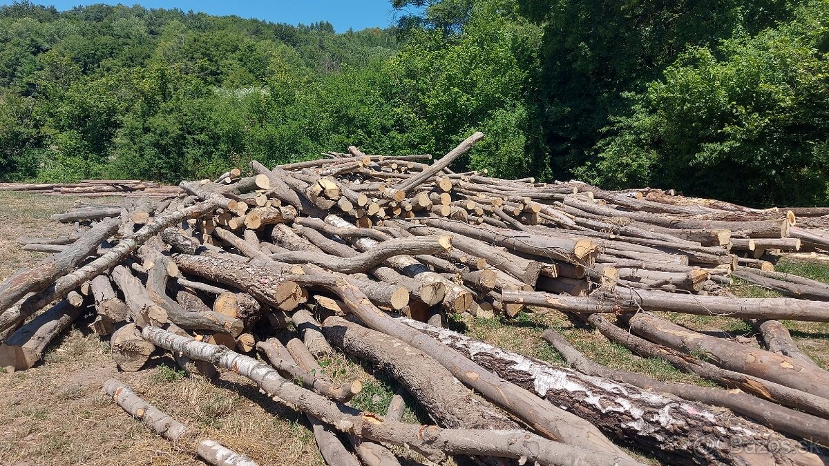 Predám hrabovú a bukovú vlákninu na palivové drevo