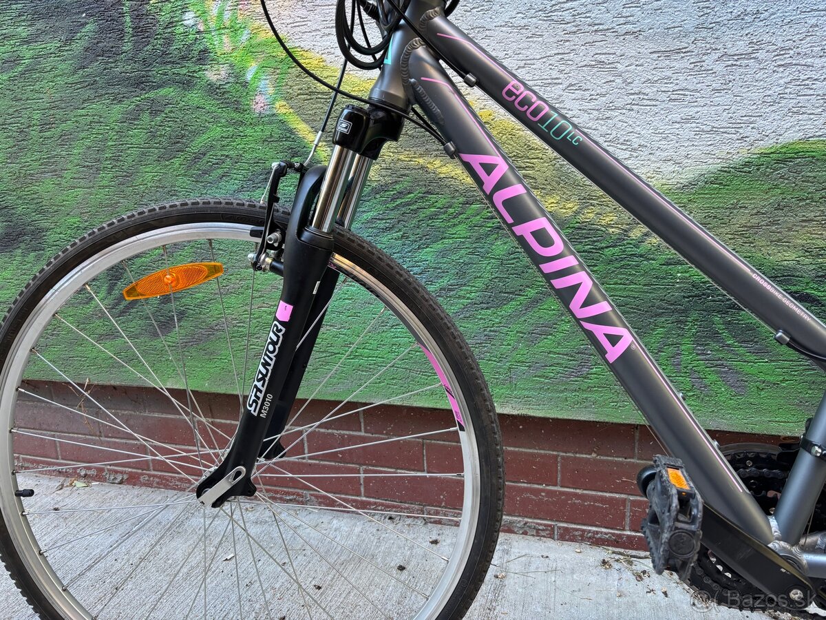 ALPINA eco10LC