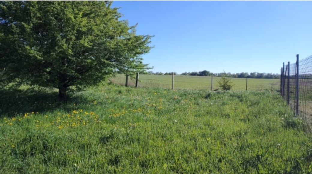 kúpa/prenájom záhrady/ornej pôdy