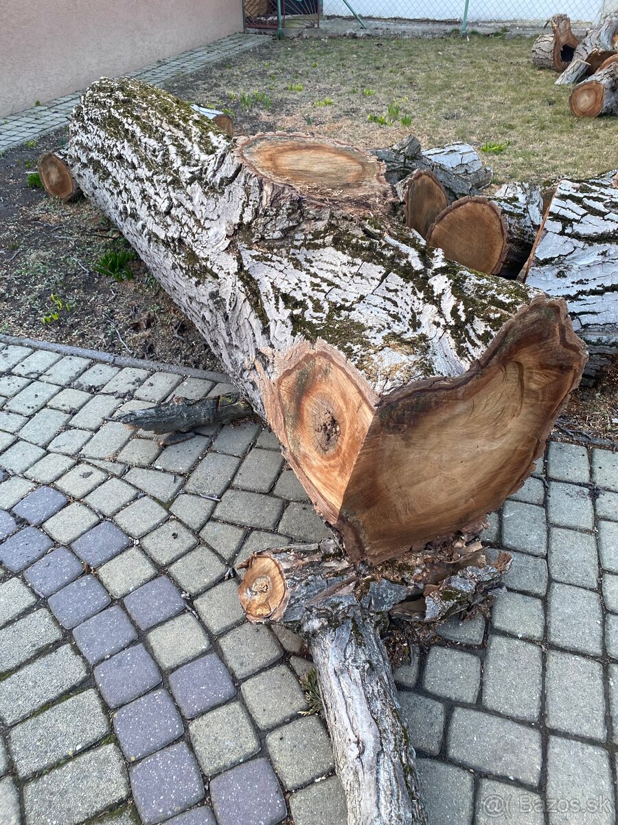 Orechove drevo