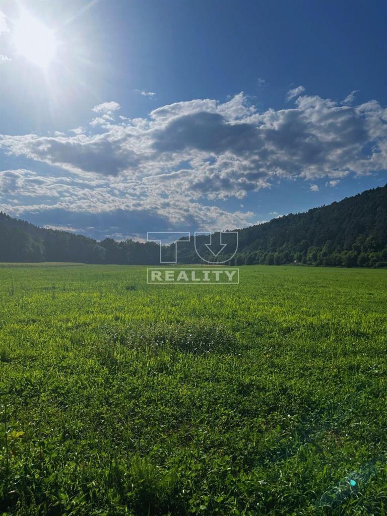 Rovinatý pozemok v Dolnom Lieskove