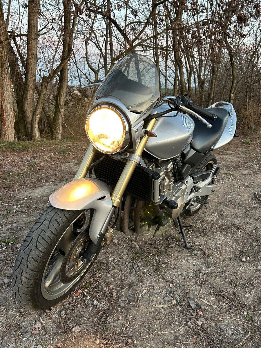 Hornet 600