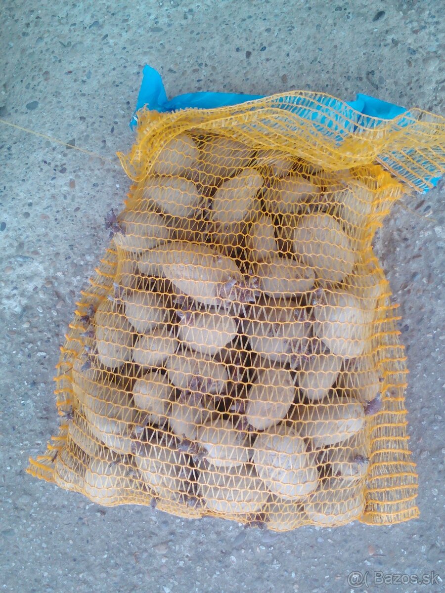 sadbove zemiaky
