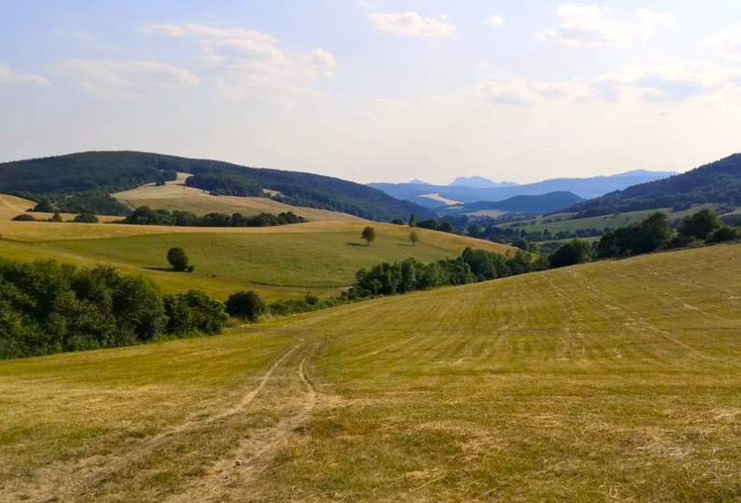 Hoštiná – 20.700 m2 ORNÁ PÔDA a LES pri Púchove