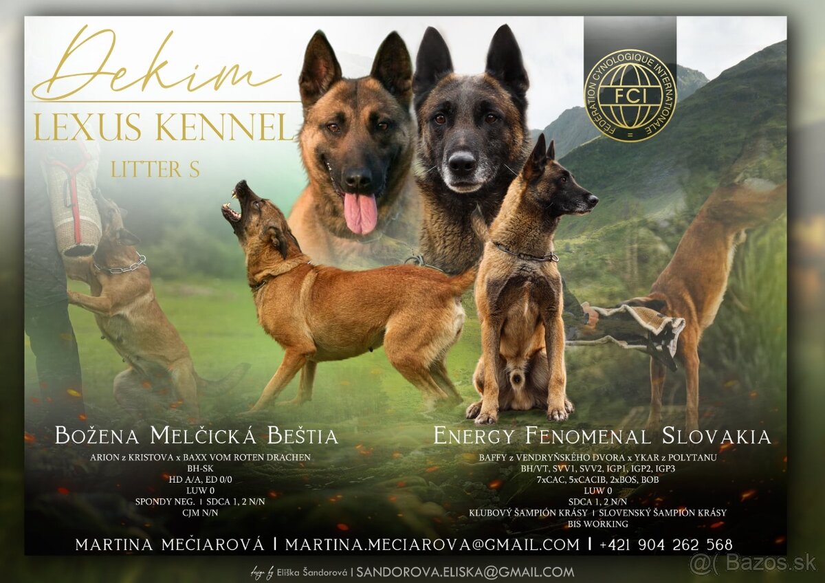 Belgicky ovčiak s PP