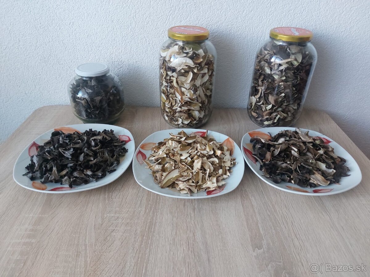 Tohtoročné sušené hríby