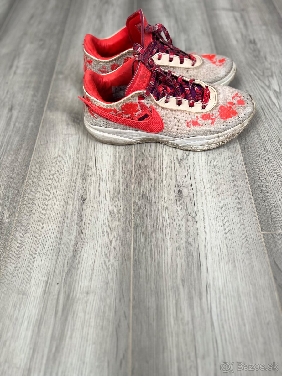 Nike Mimi plange Lebron