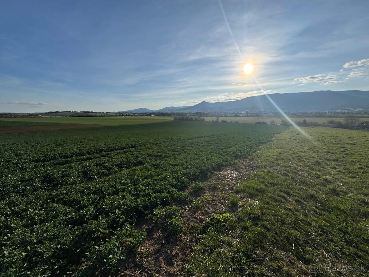 Hľadám pozemky, spoluvlastnícke podiely