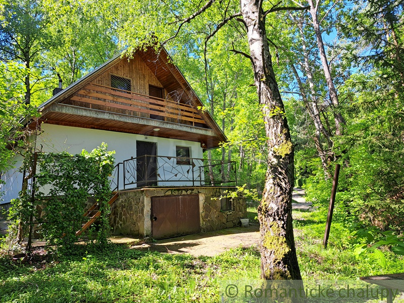 Chata v lesnom prostredí - ideálne miesto na relax v príro