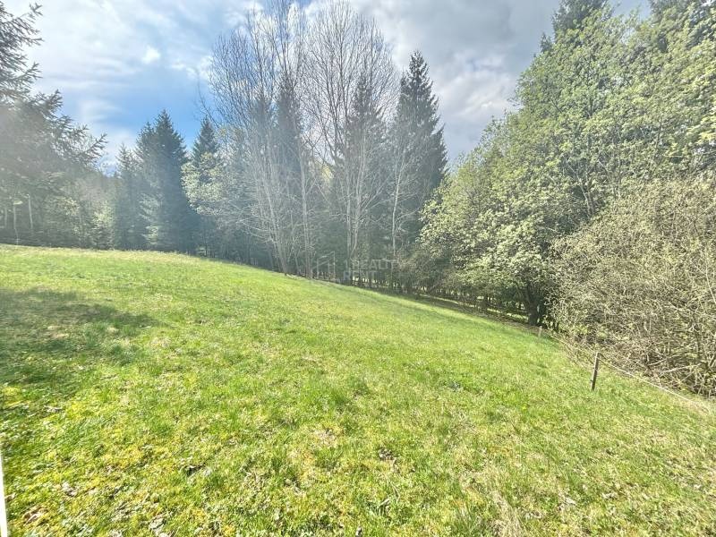 Hľadám travnatý pozemok