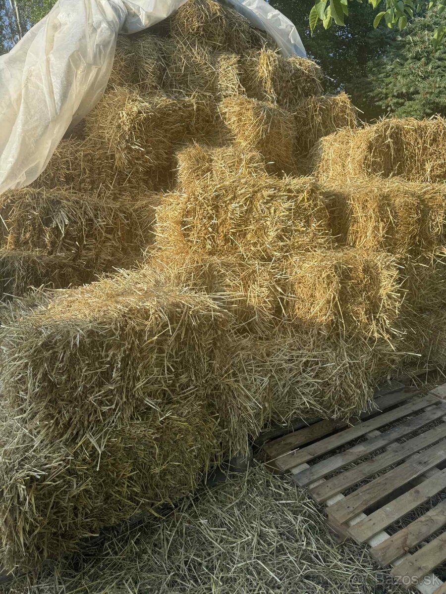 Baliky slamy