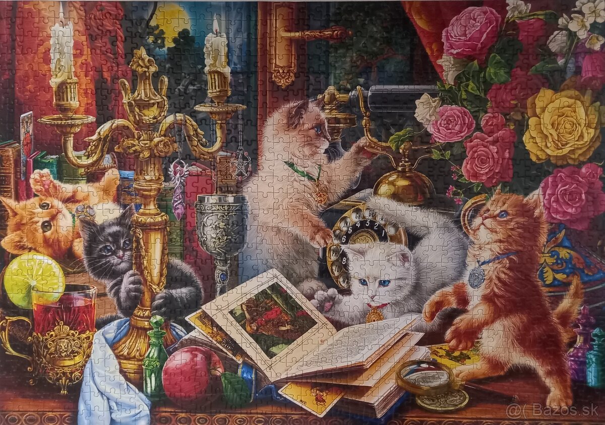 Puzzle - 1000 dielikov