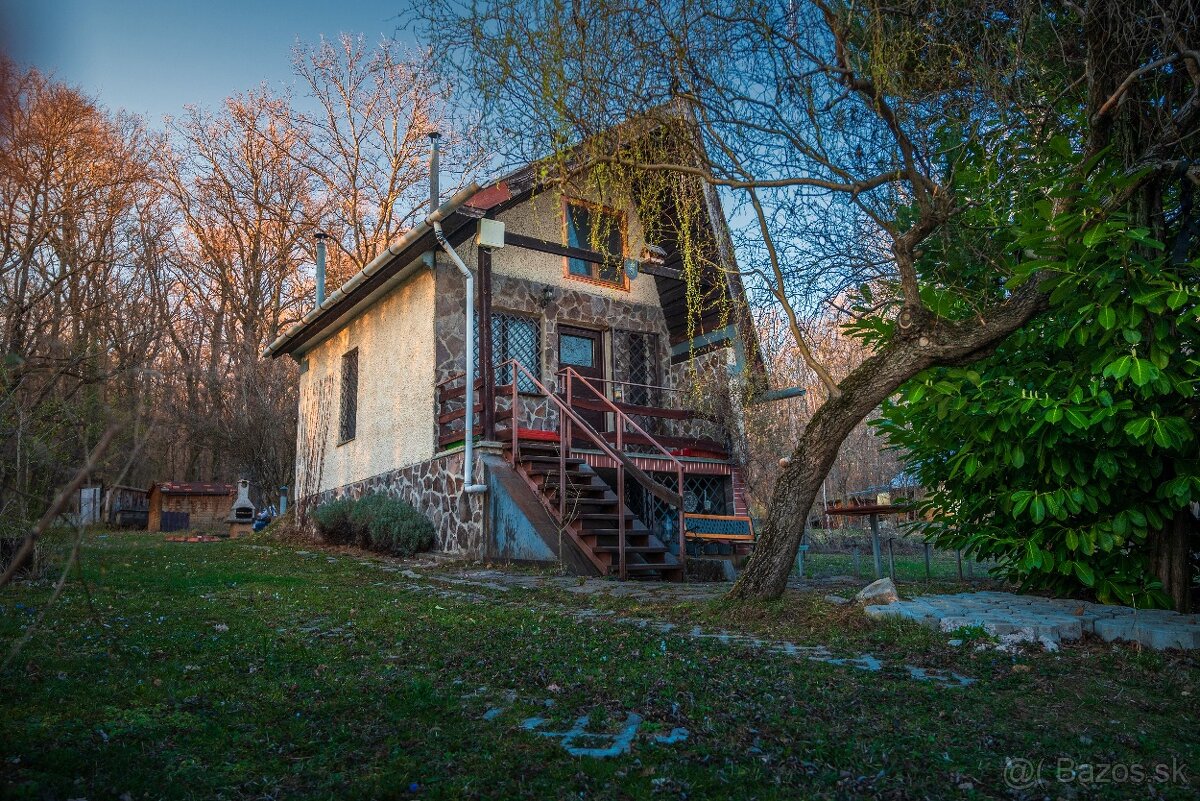 Predám chatu – Jelenec vinohrady, 1956 m²