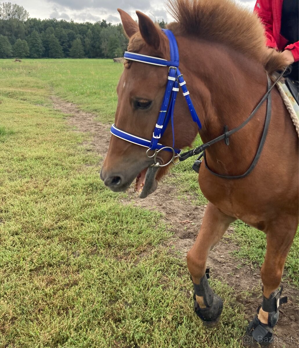 Pony veci