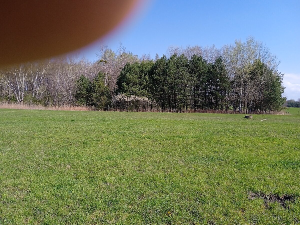 Dam do prenajmu les 800m2.