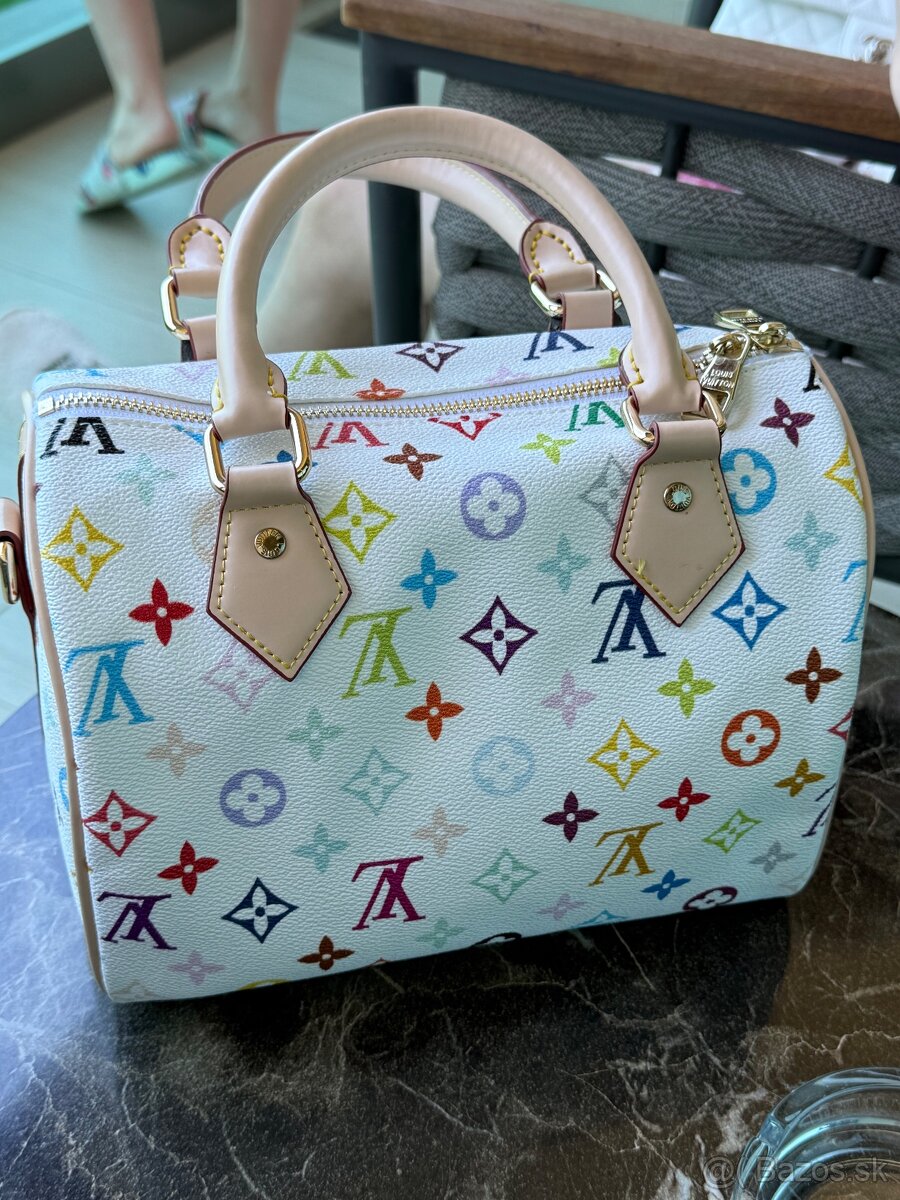 Louis Vuitton Speedy 25 Multicolore