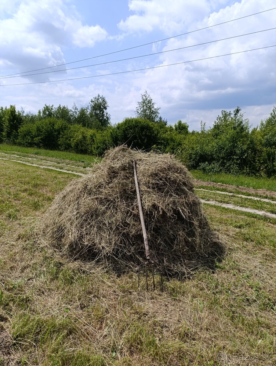 Darujem seno
