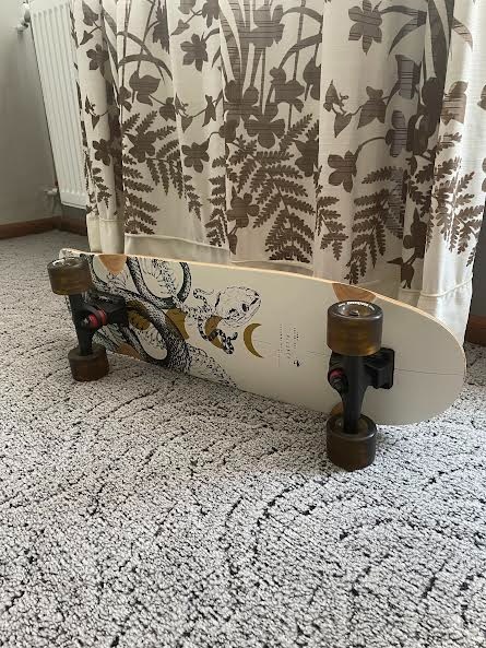skateboard