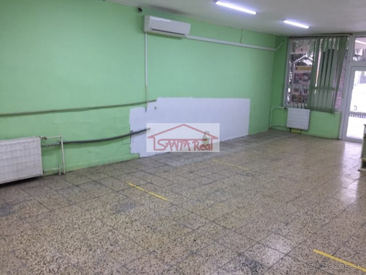 V LEVICIACH PRIESTOR NA PRENÁJOM, ID 516