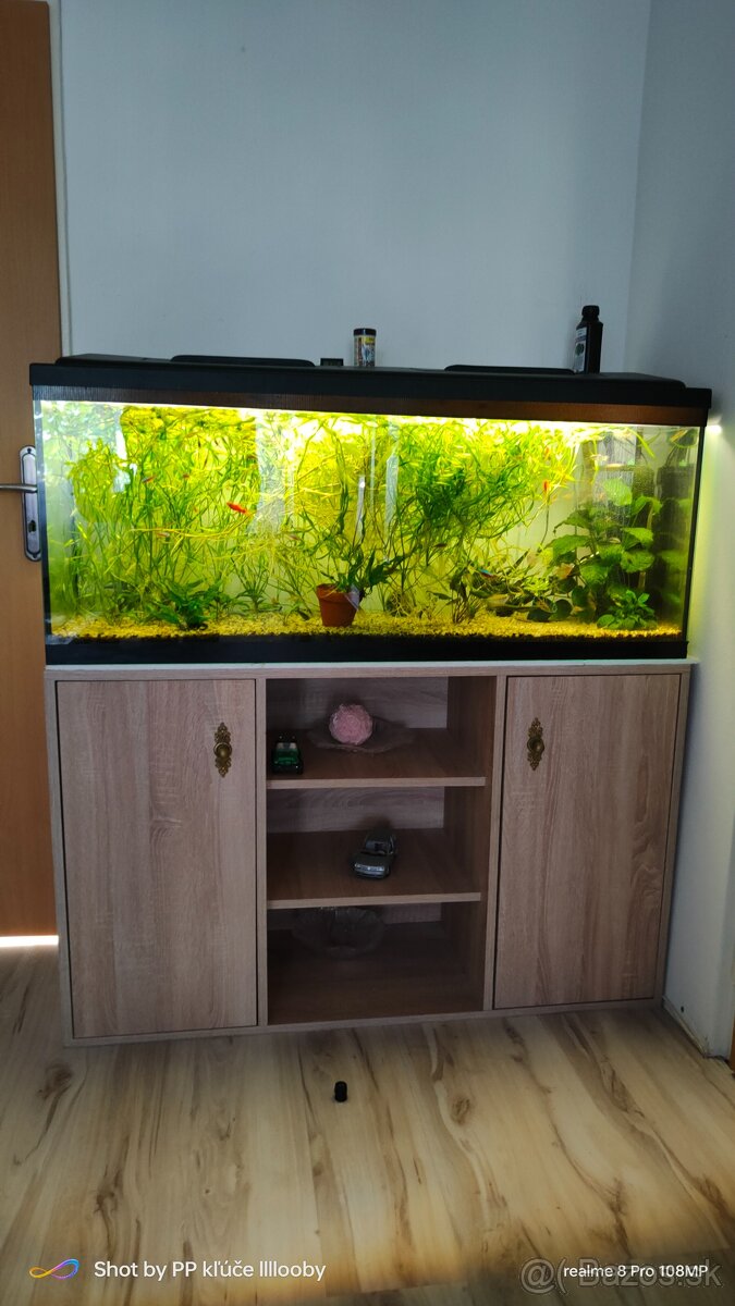 Predám akvárim 200L z komplet zariadením
