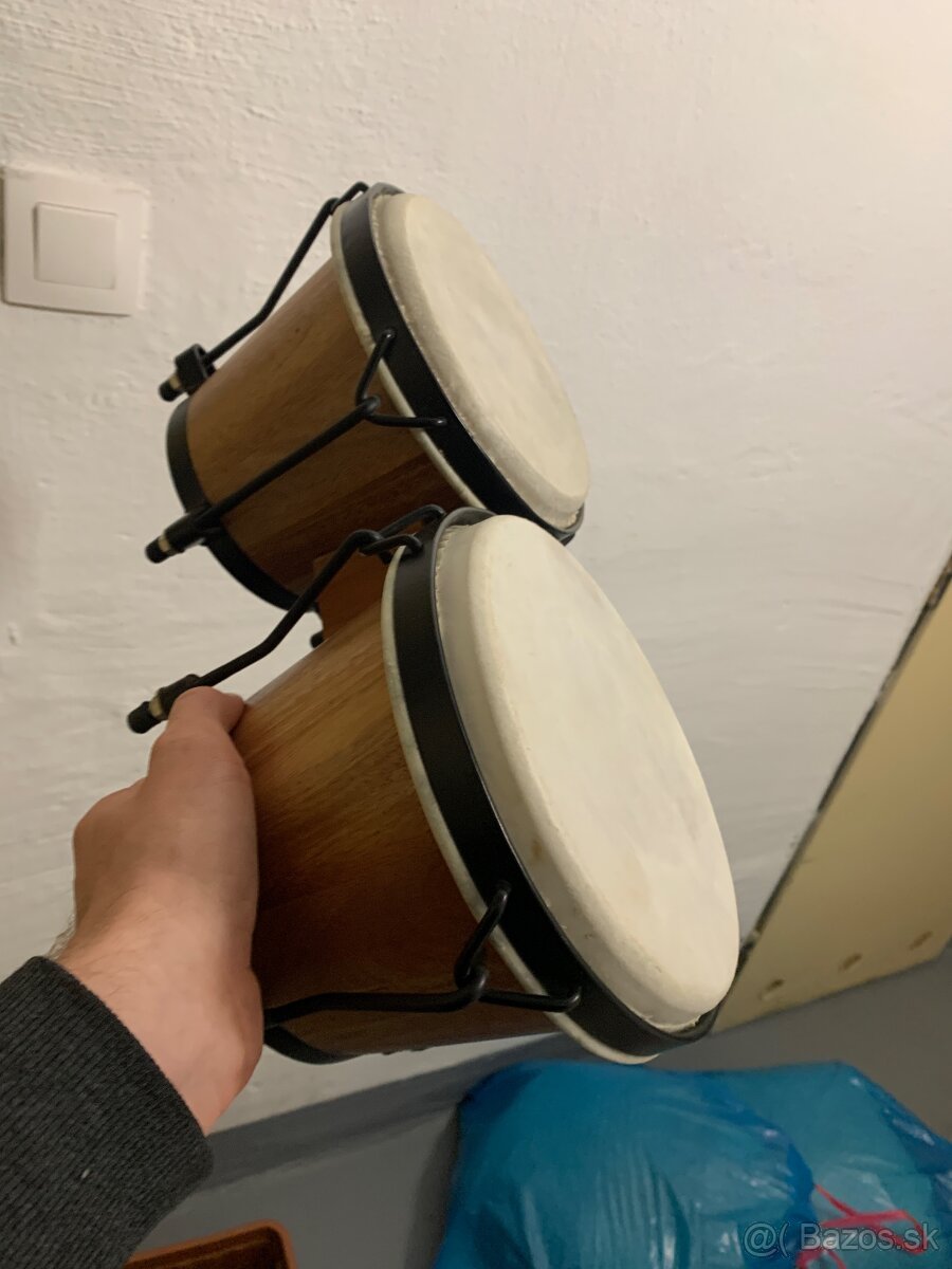 Dvojité bongo