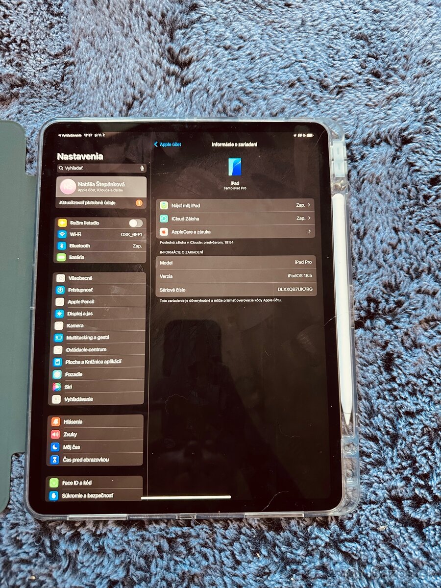 iPad Pro