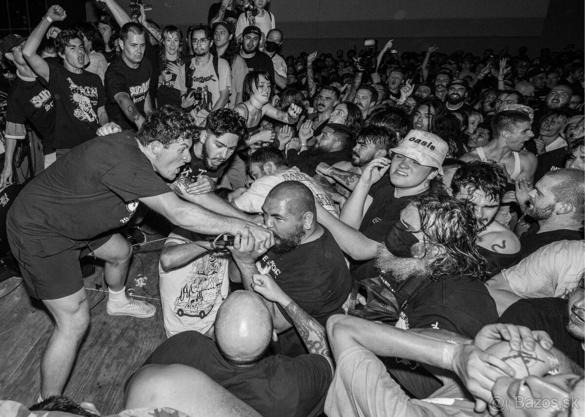 BA - Hľadá sa spevák do hardcore/beatdown skupiny