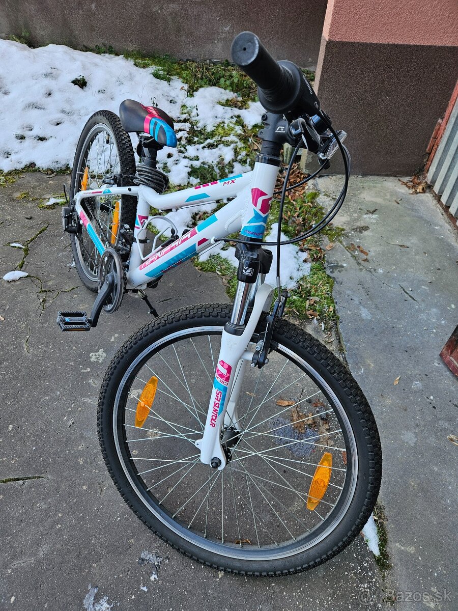 Horský bicykel 24 '