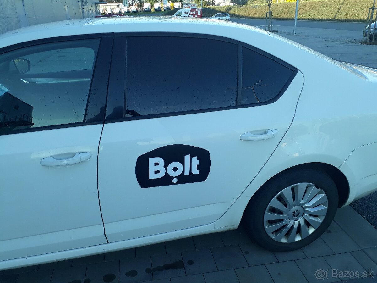 Polepy Bolt