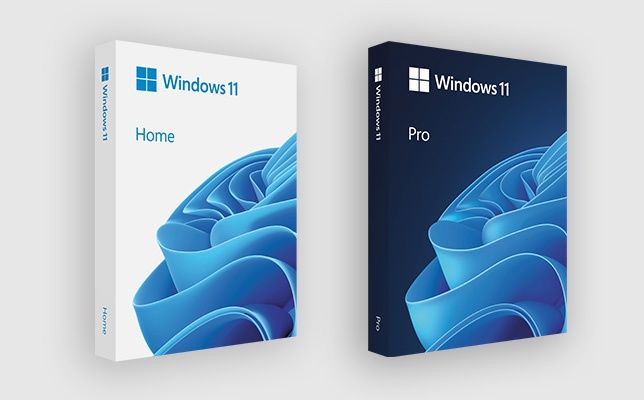 Windows 11 / 10