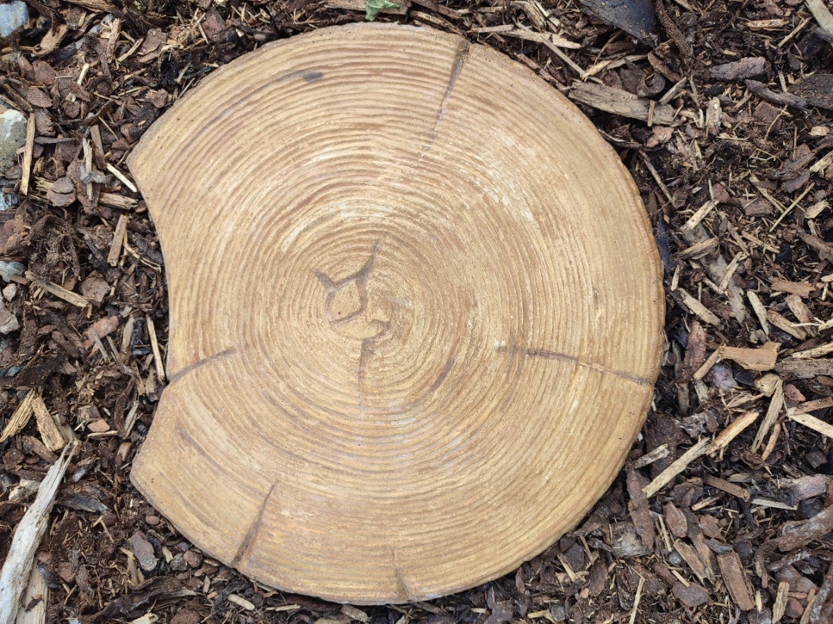 🌳 Betónová dlažba – imitácia dreveného pňa 🌳