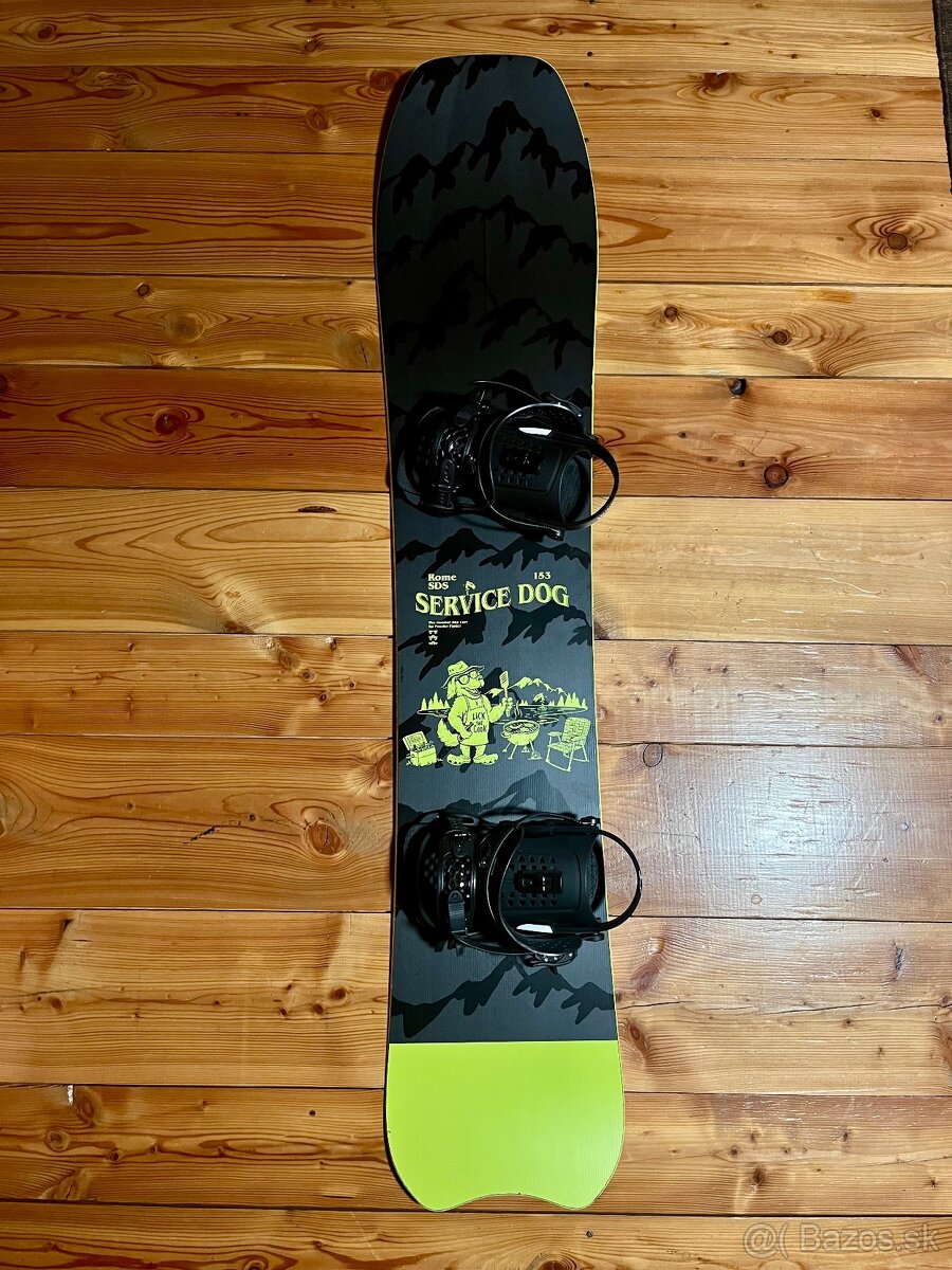 Rome Service Dog 153