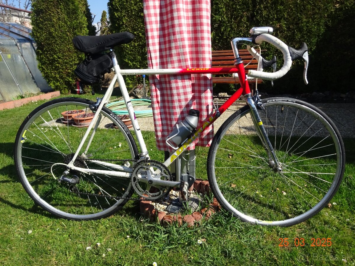 Športový-cestný bicykel