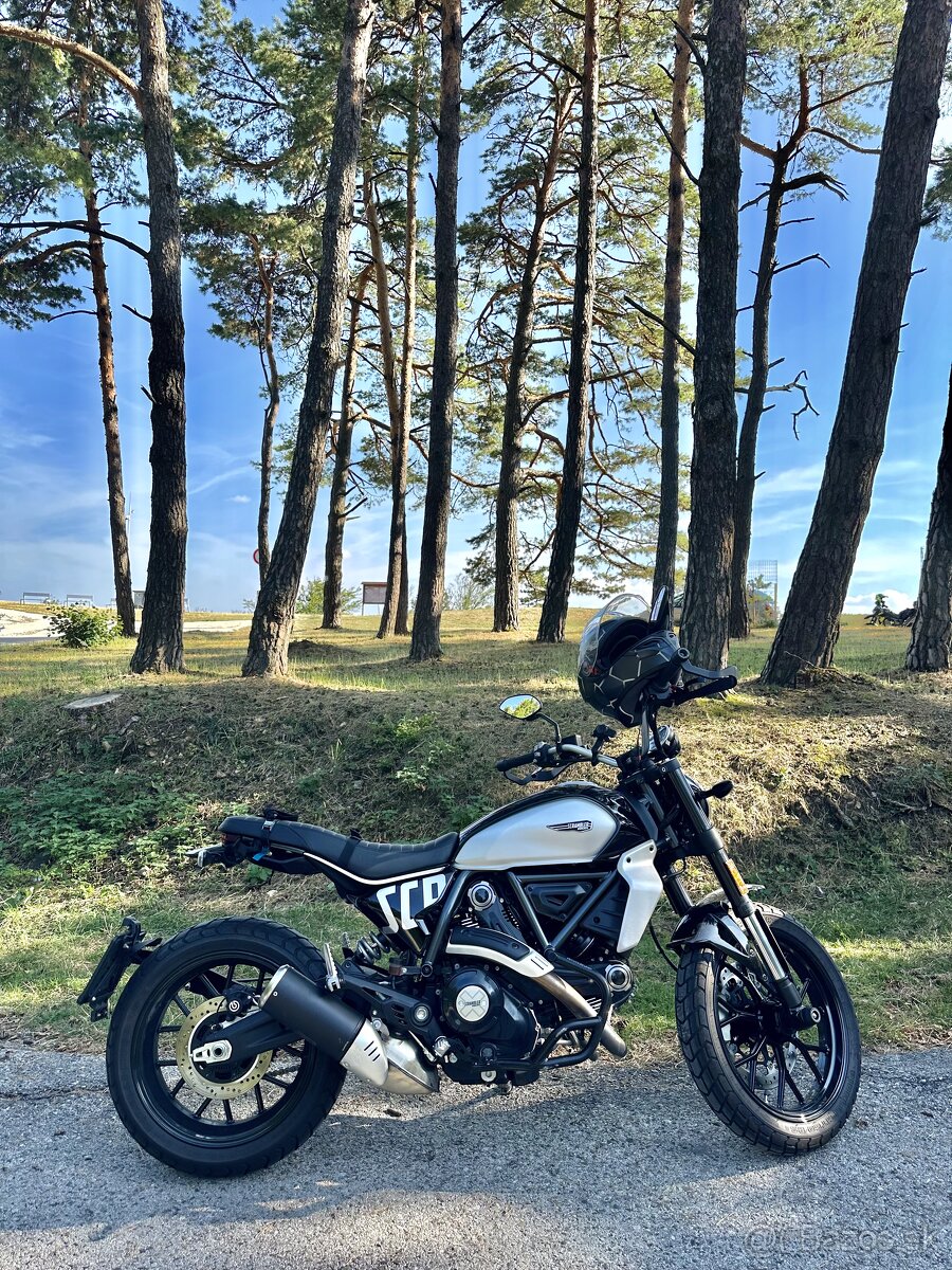 predam DUCATI SCRAMBLER ICON 800, r. 2024