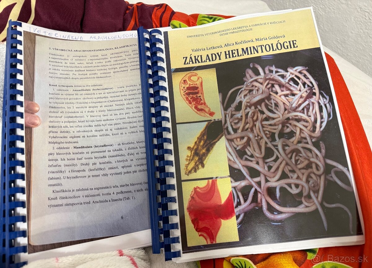Základy Helmintológie, Veterinárna arachnoentomológia