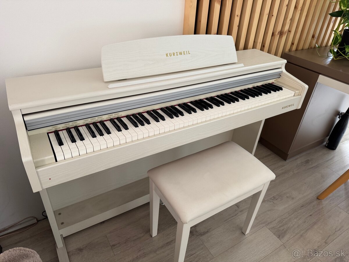 KURZWEIL M100