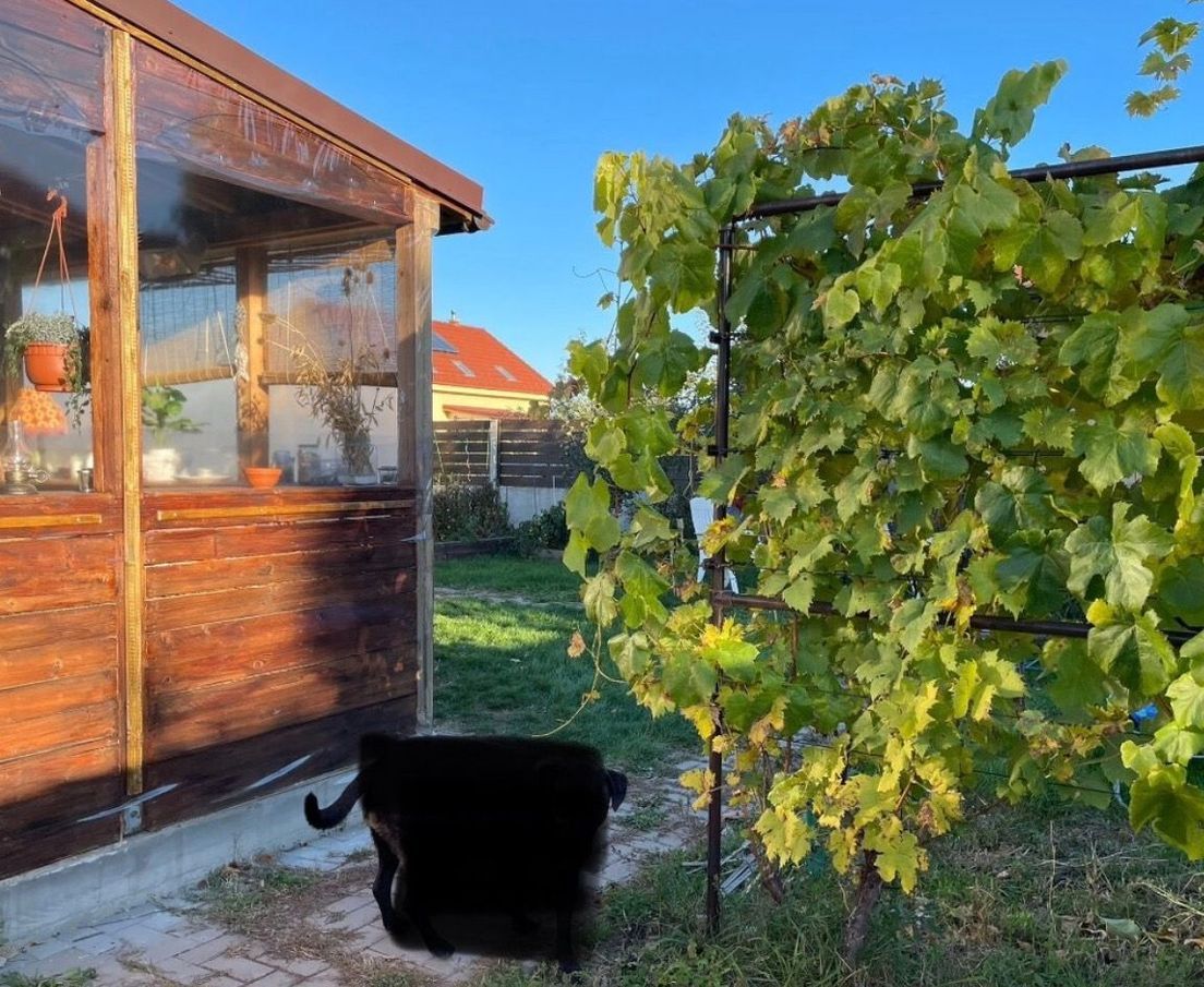 Záhrada na predaj TOP