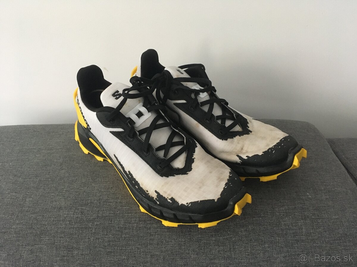 Salomon Alphacross & Salomon Active skin 8