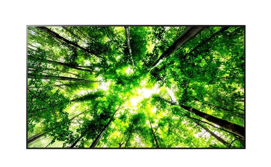 LG OLED55C8
