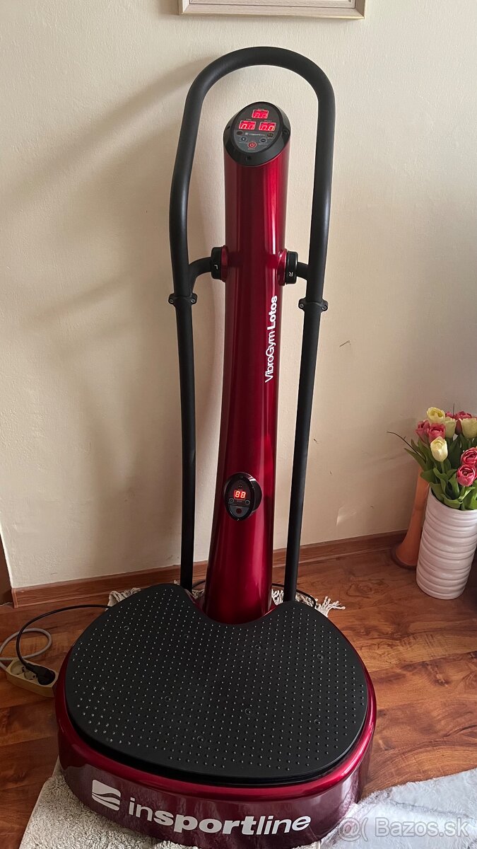 VibroGym insportline lotos