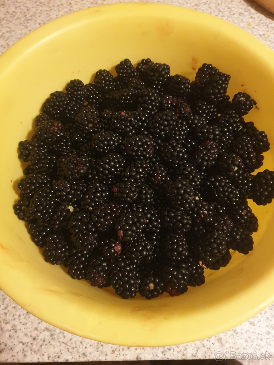 Predám Bio domáce černice