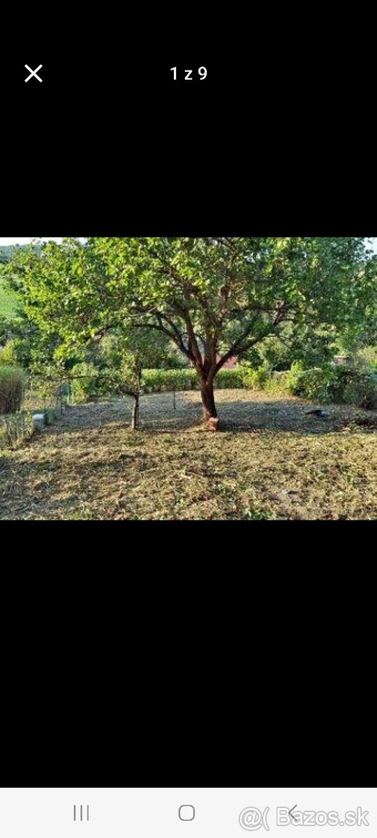ZAHRADA POZEMOK ZHANAM