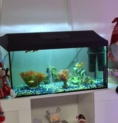 Predám komplet akvárium z rybyčkami