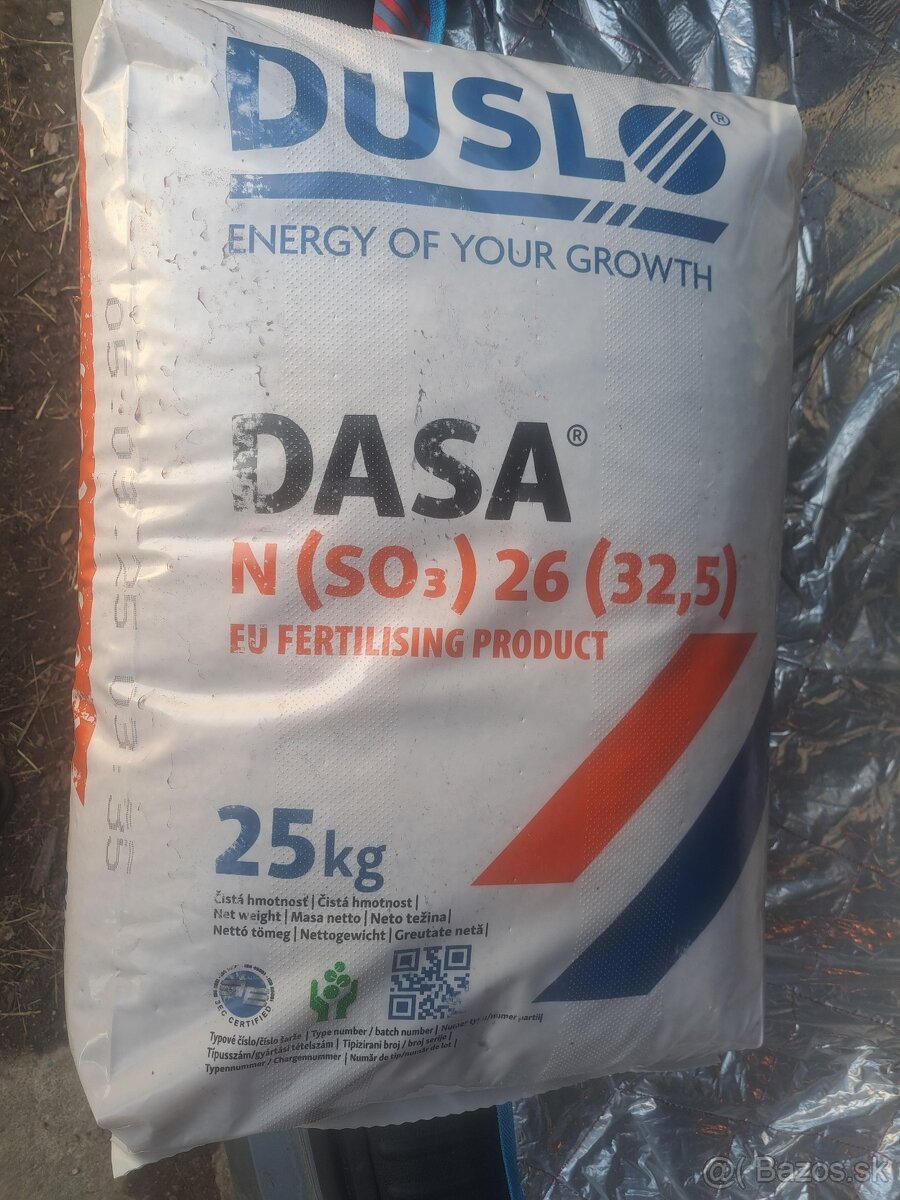 dasa